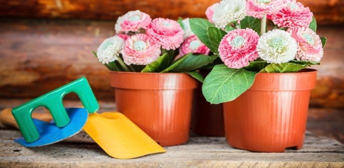 colourful gardening tools